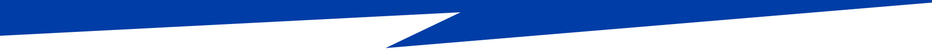 Section Divider