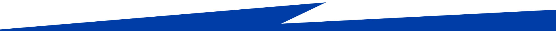Section Divider